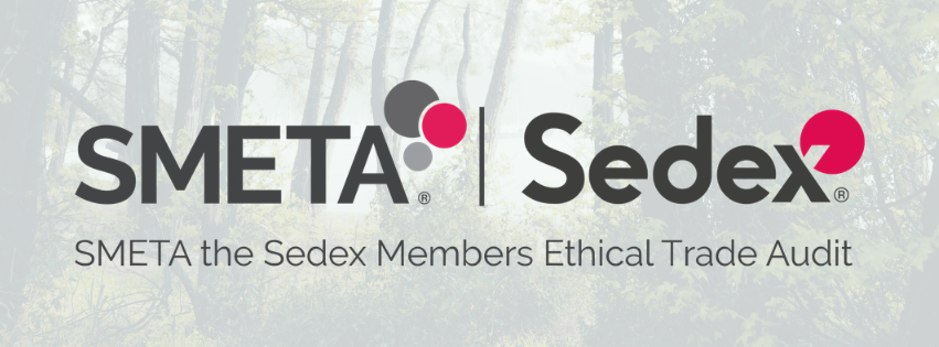 The SMETA Corrective Action Plan report identified a limited number of observations